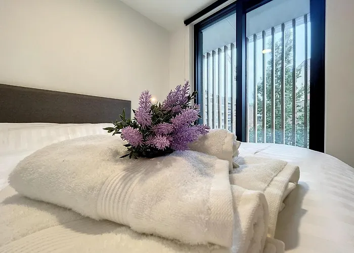 Flat The - New Construction Building Appartement Nieuport